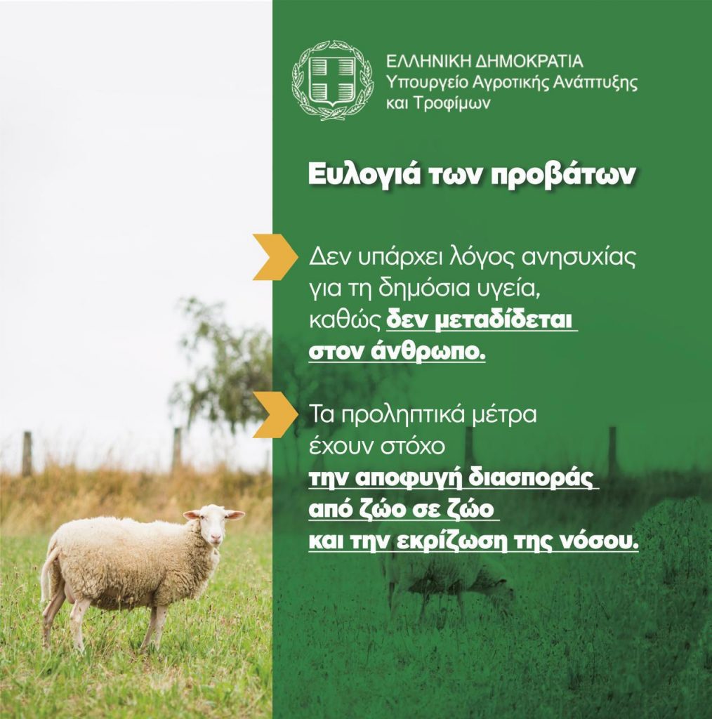 eylogia 5