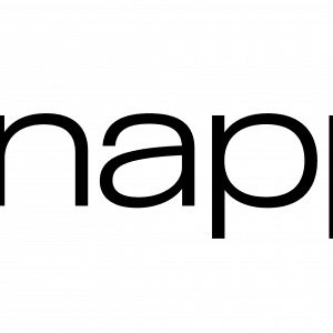 snappi logo wordmark 03