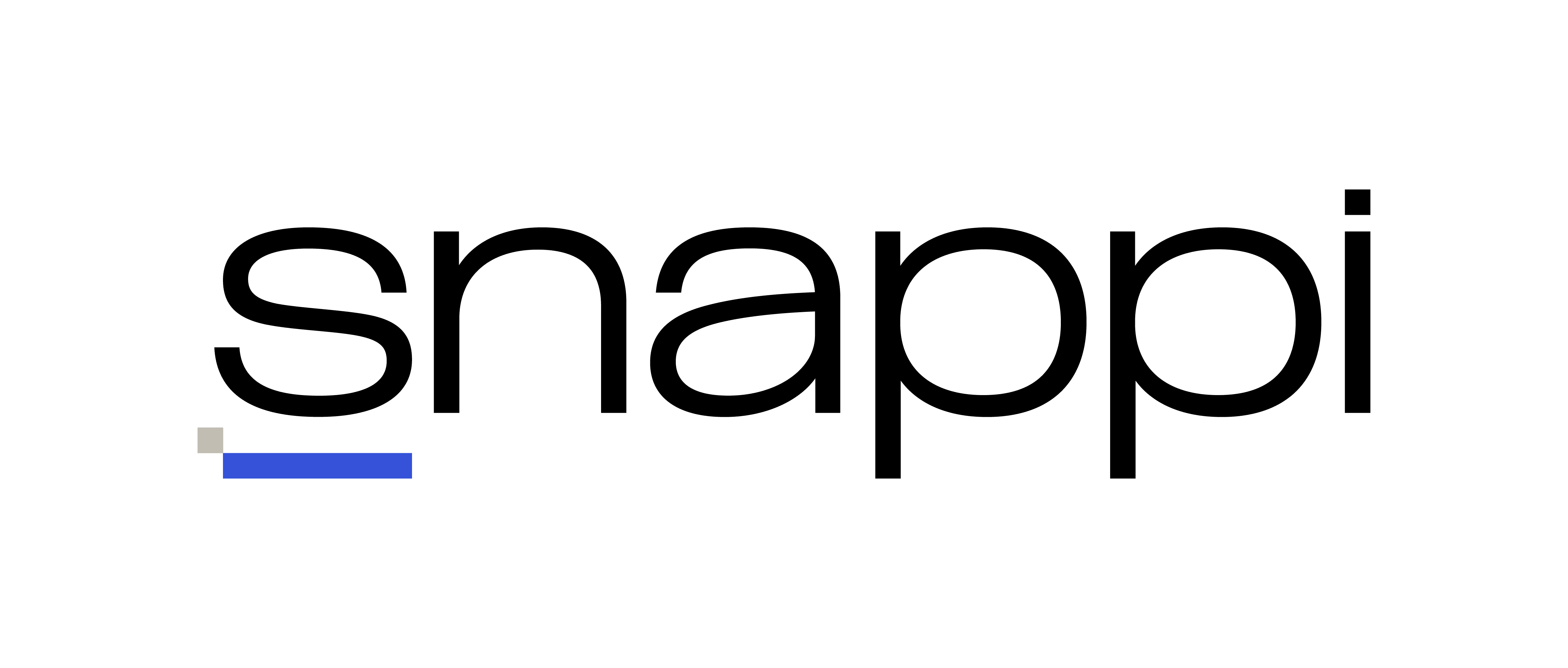 snappi logo wordmark 03