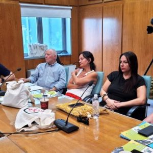 thema anol 2 768x355