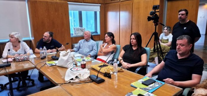 thema anol 2 768x355