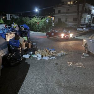 561255499 4137957353186862 8519657519084185298 n