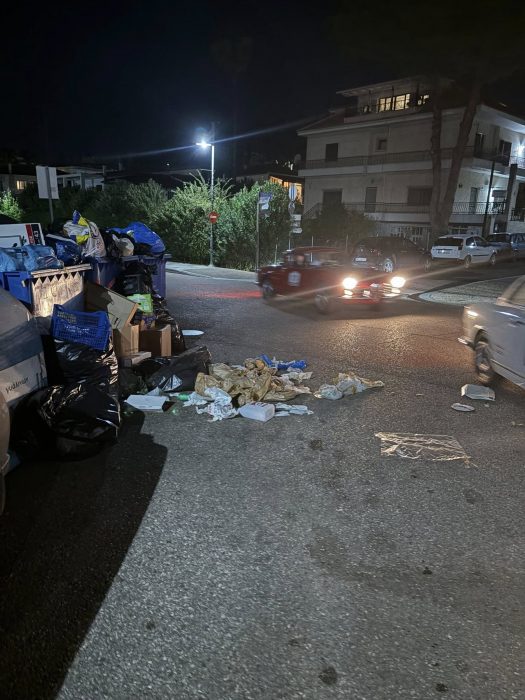 561255499 4137957353186862 8519657519084185298 n