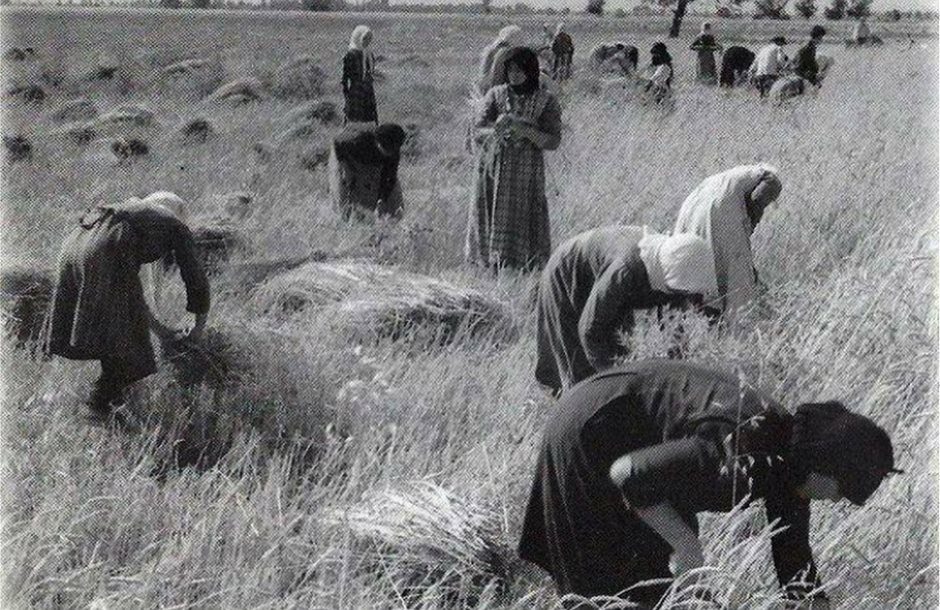 agrotissaa