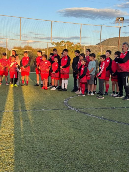 akadimia podosfairoy0 titanes kresteba