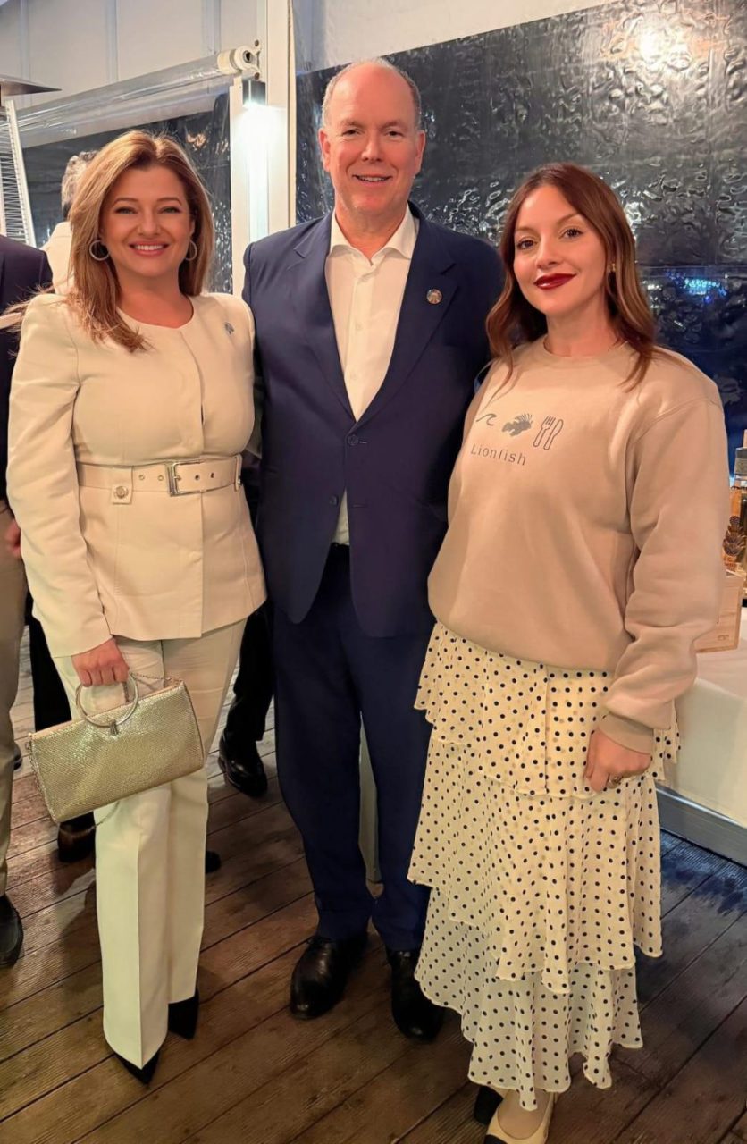 image 24 35 1003x1536