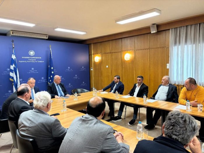 image 34 35 1024x768