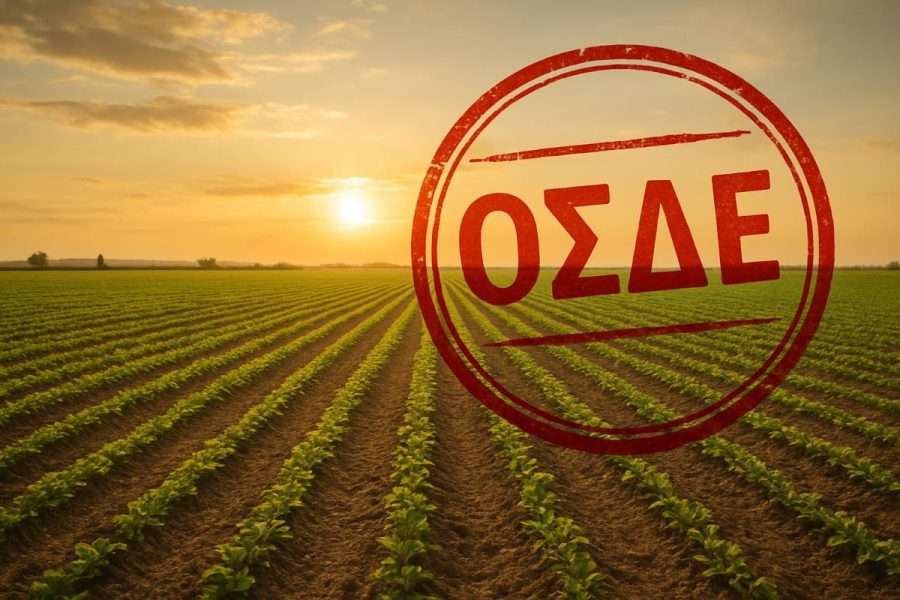 osde
