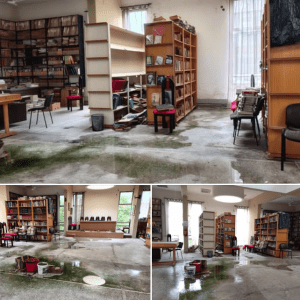 Στιγμιότυπο οθόνης (1441)