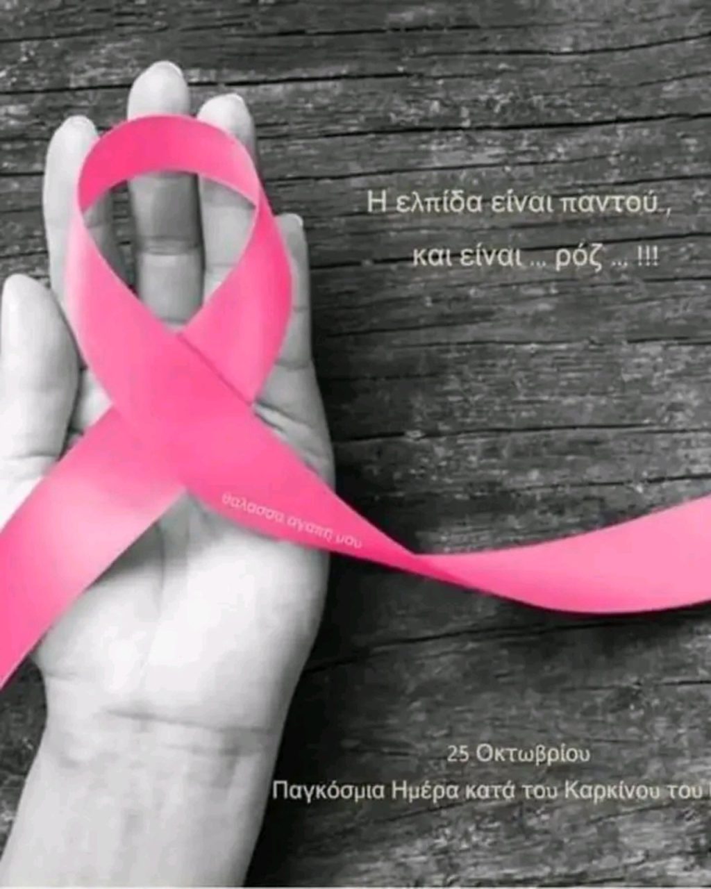 εικόνα Viber 2025 10 25 21 08 28 155