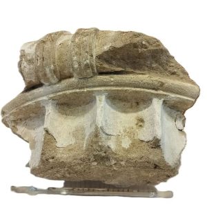 κιονόκρανο