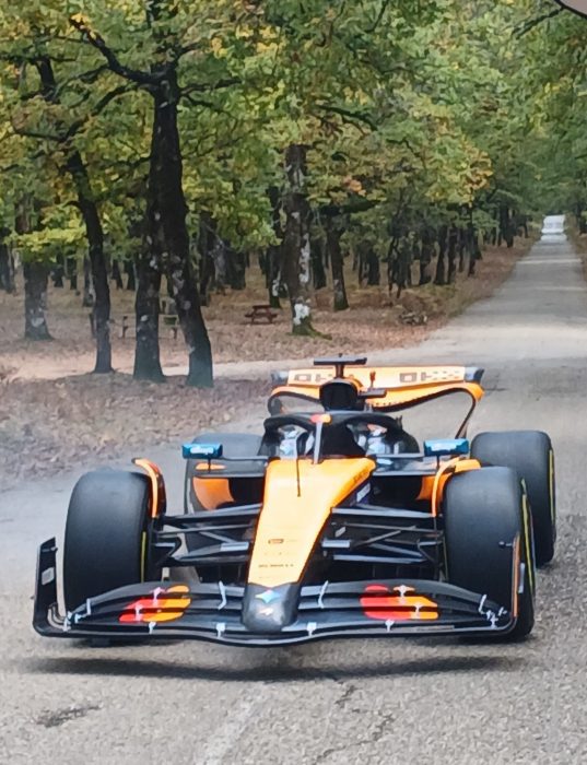 577027411 25427524910165928 2545466840543746021 n