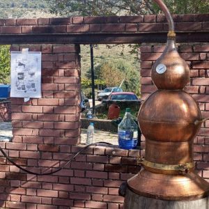 IMG e38e375709f092cca0ab34a9b53c23e6 V