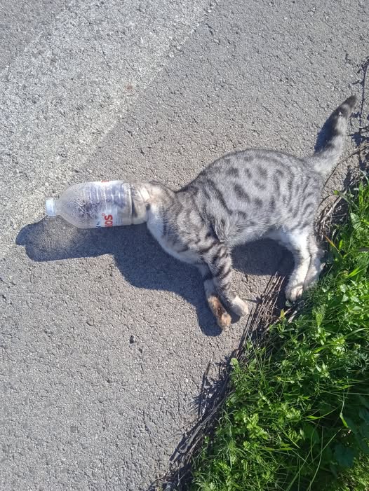 PERISTATIKA GATES HLEIA 1