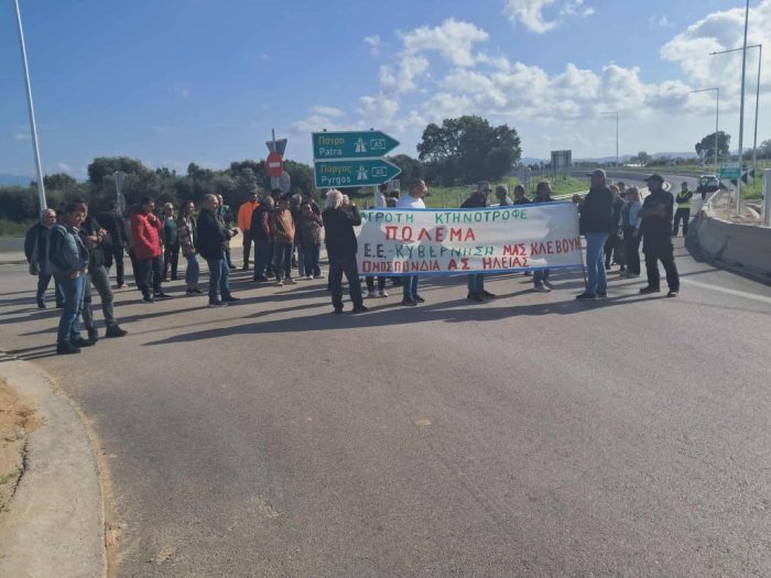 agrotes koinitopoiiseis