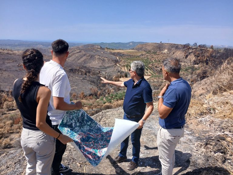 dasarxeio pyrgouy 768x576