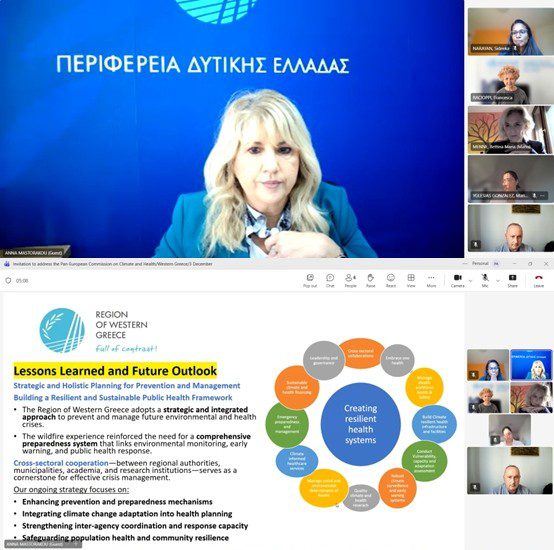 preparatory meeting 7 11 2025 WHO & special consultation