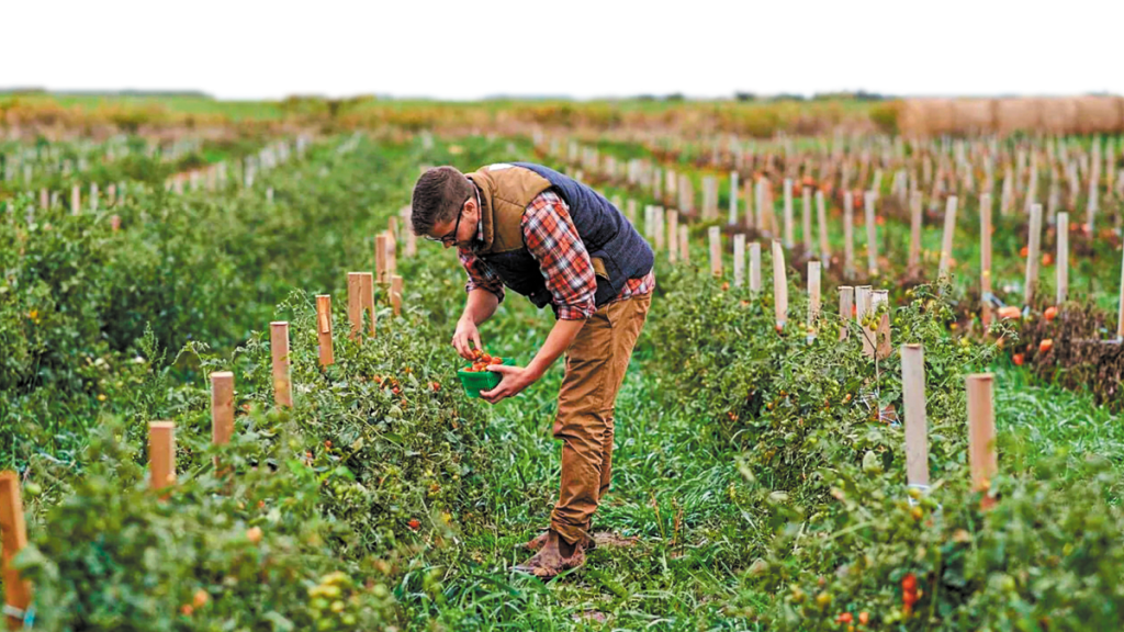 viologika BIOLOGIKA AKLIERGIES AGROTIS