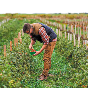 viologika BIOLOGIKA AKLIERGIES AGROTIS