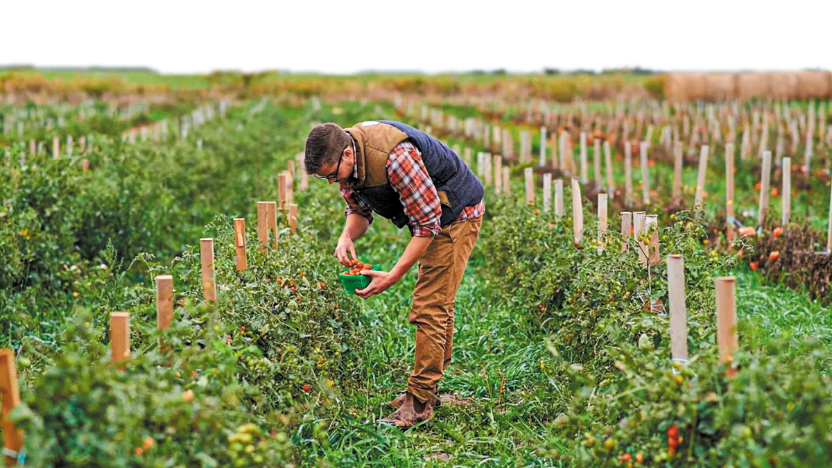 viologika BIOLOGIKA AKLIERGIES AGROTIS