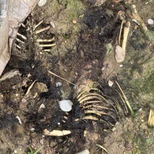 590793138 18545572219054202 8829215412413557764 n