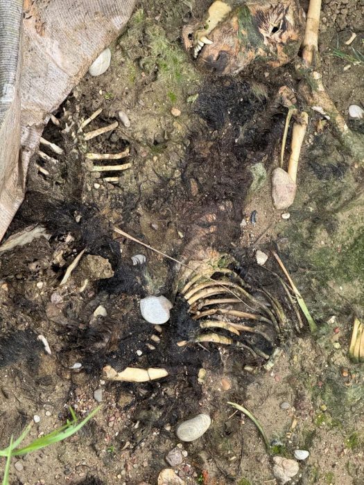 590793138 18545572219054202 8829215412413557764 n