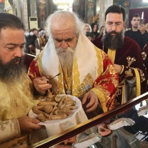 595435464 26373547502245502 5245179765725480830 n