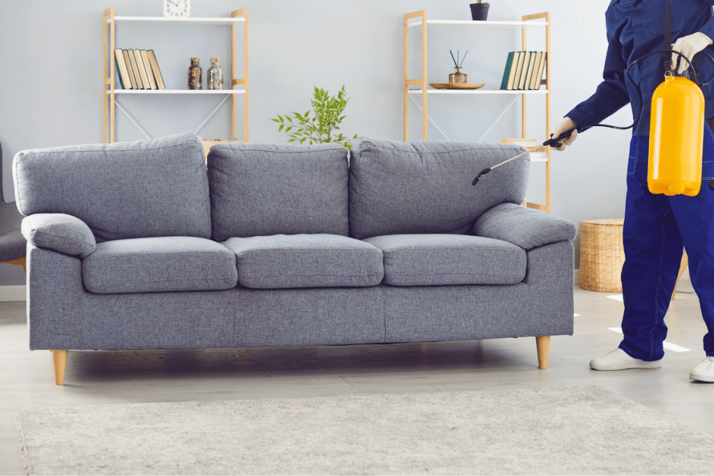 apallageapotouskoriouswww.ghilotina.com