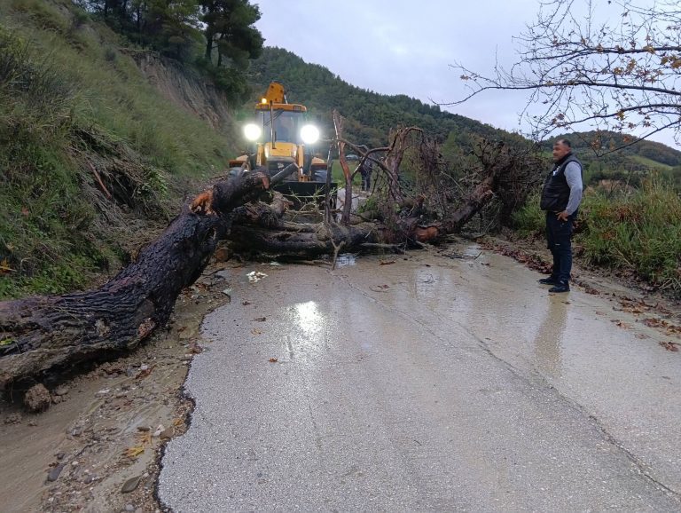 erga dentro katolsiithis dromos