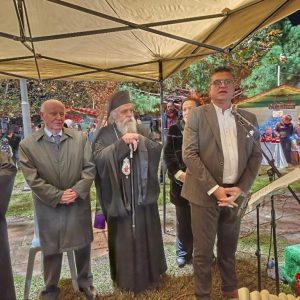 image 50 50 1024x768