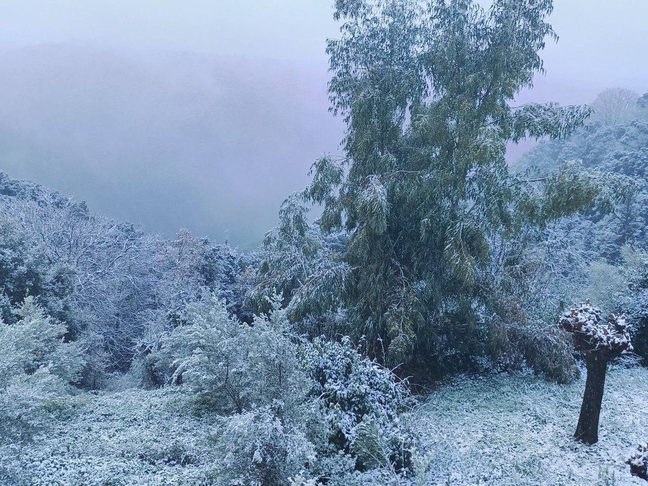 597396654 26043252668633655 3240699571533213110 n