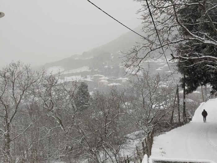 609417504 1167844041791324 8622443395677875875 n