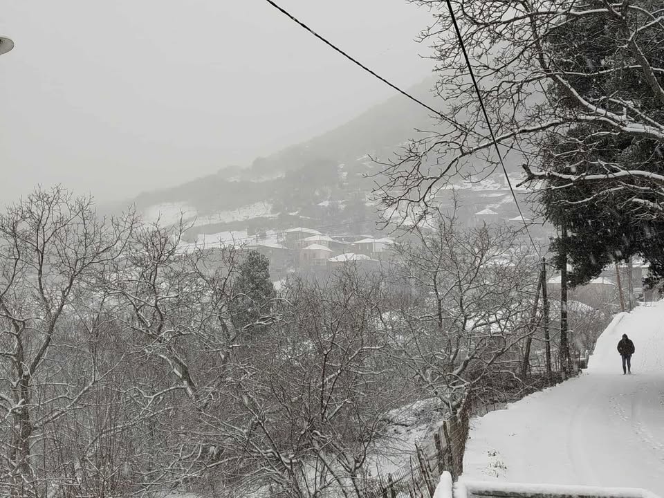 609417504 1167844041791324 8622443395677875875 n