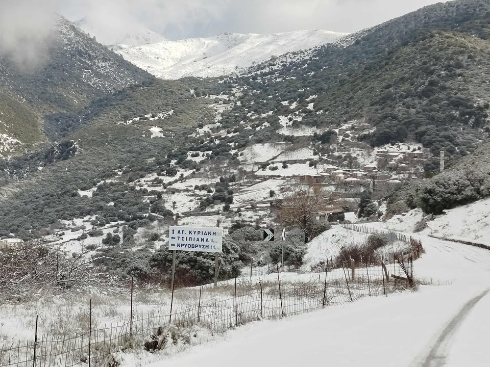 611108942 1766423757360837 3406897199581505928 n