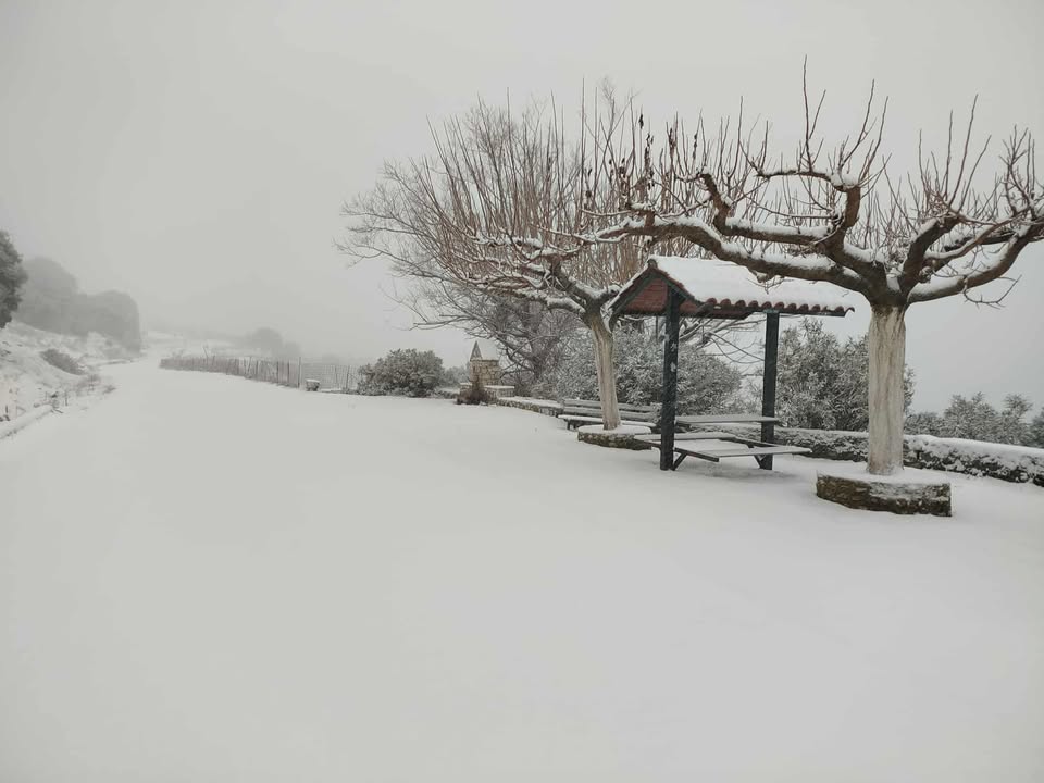 611186222 732095886619136 2409589671334906729 n