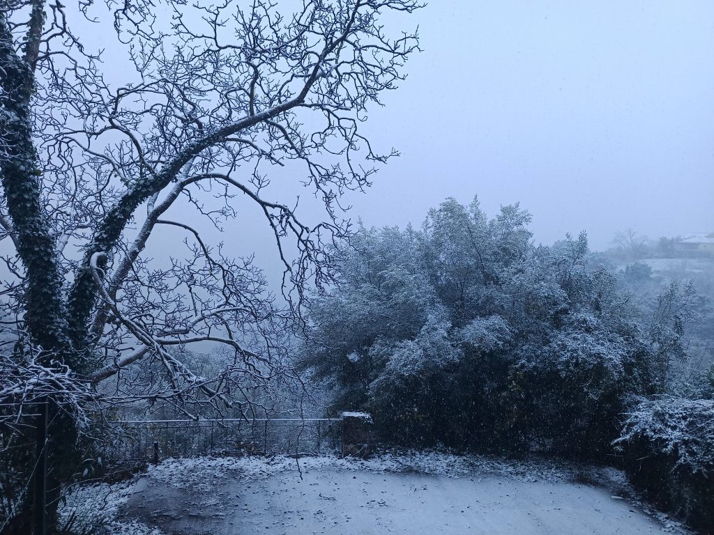 614448106 26043251538633768 8316535392437304978 n