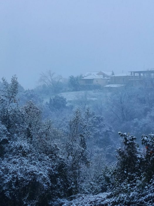 615212630 26043251868633735 4432642118617750935 n