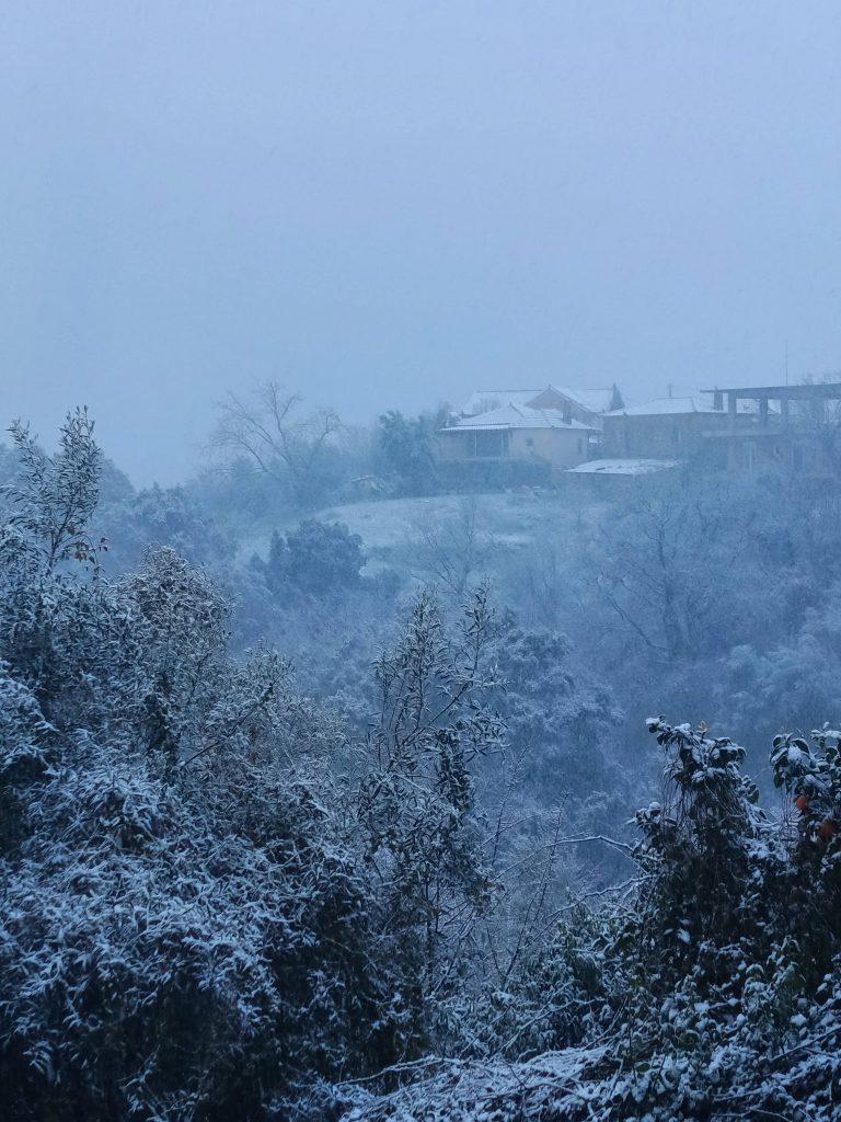 615212630 26043251868633735 4432642118617750935 n