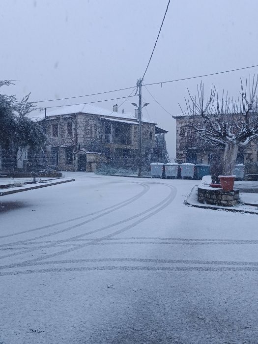 615364839 26043249885300600 1190205130141235234 n