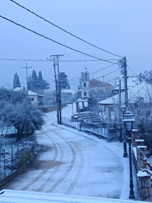 615368045 26043253065300282 6310908310204242372 n