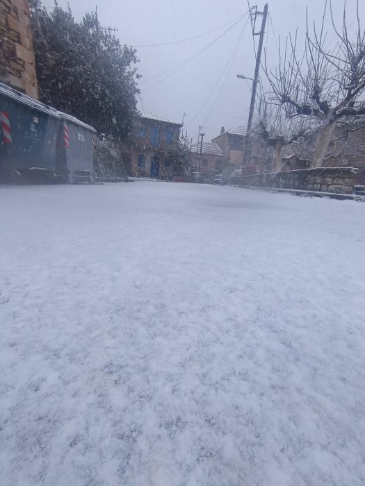 615375517 26043251131967142 5340766637846117735 n