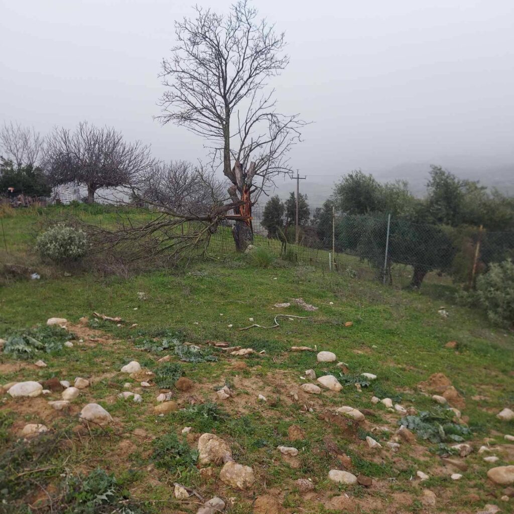 616209467 3883338618636595 8929538926604538017 n 1024x1024