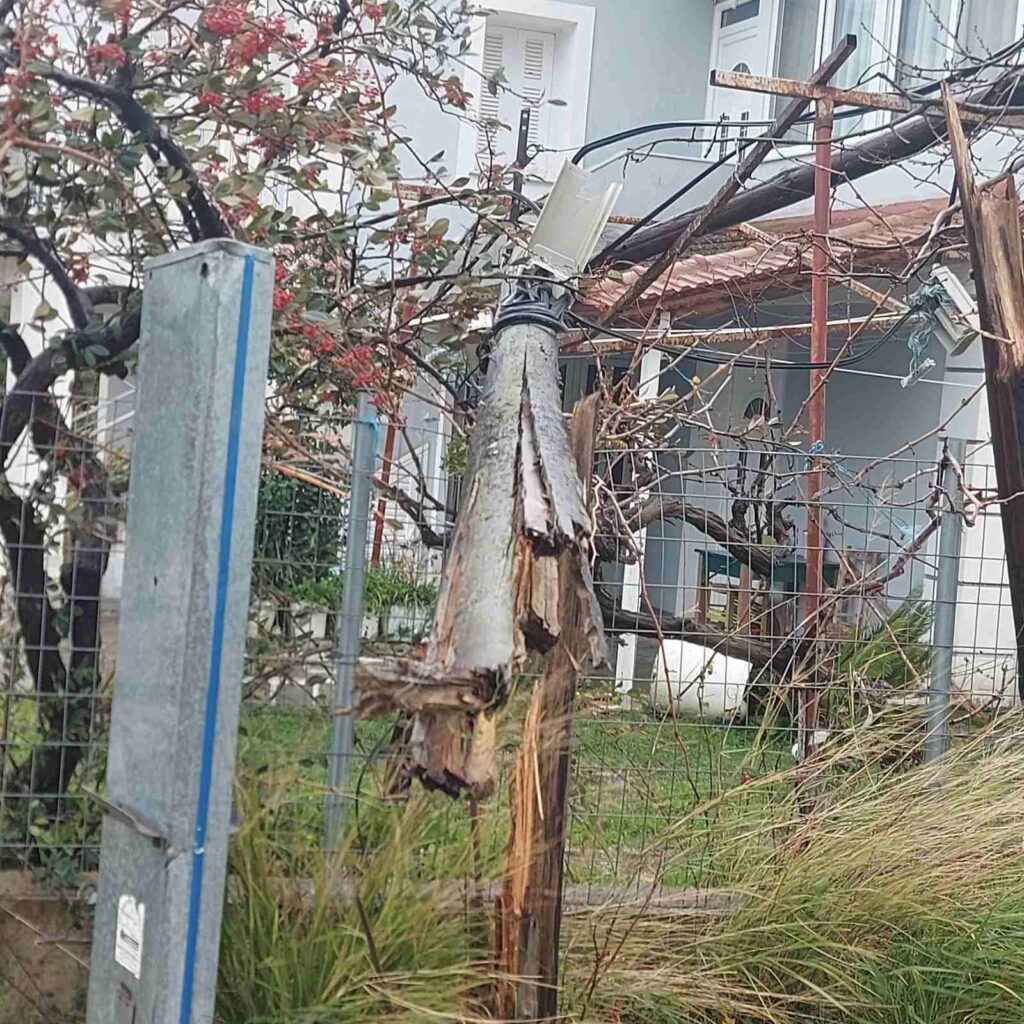 616322021 3883336811970109 5487643923868539264 n 1024x1024