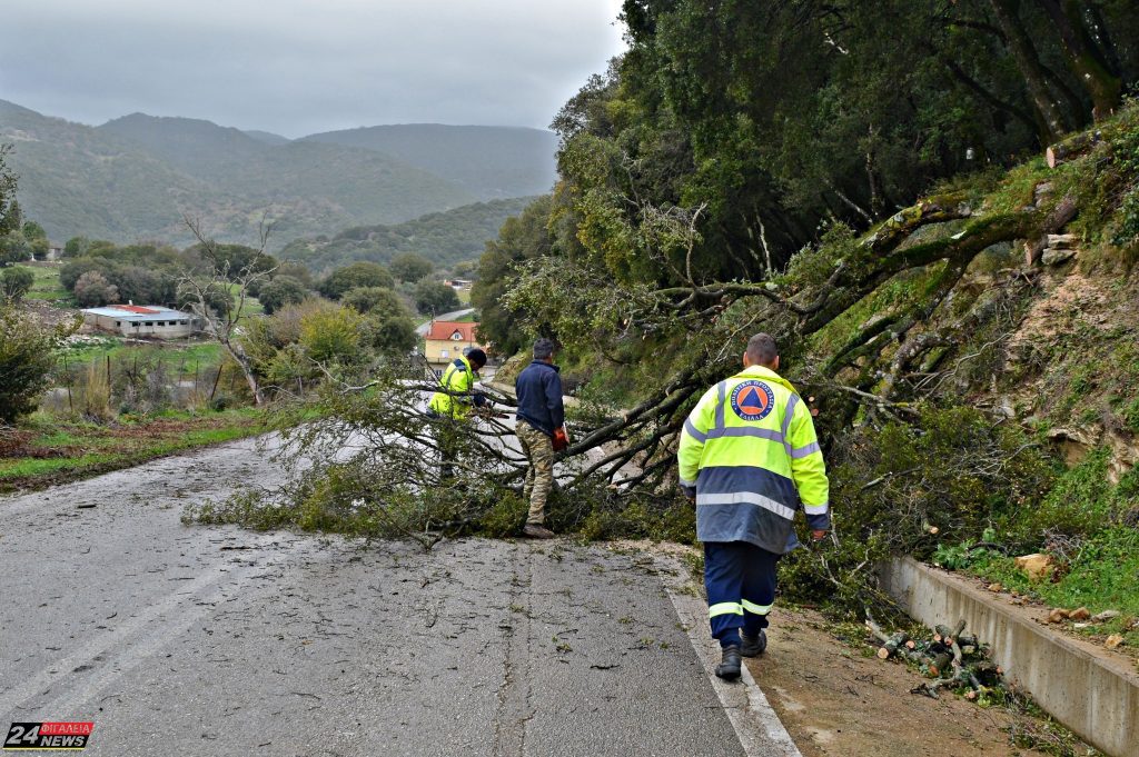 616431808 1940840987312481 6095631586859876866 n