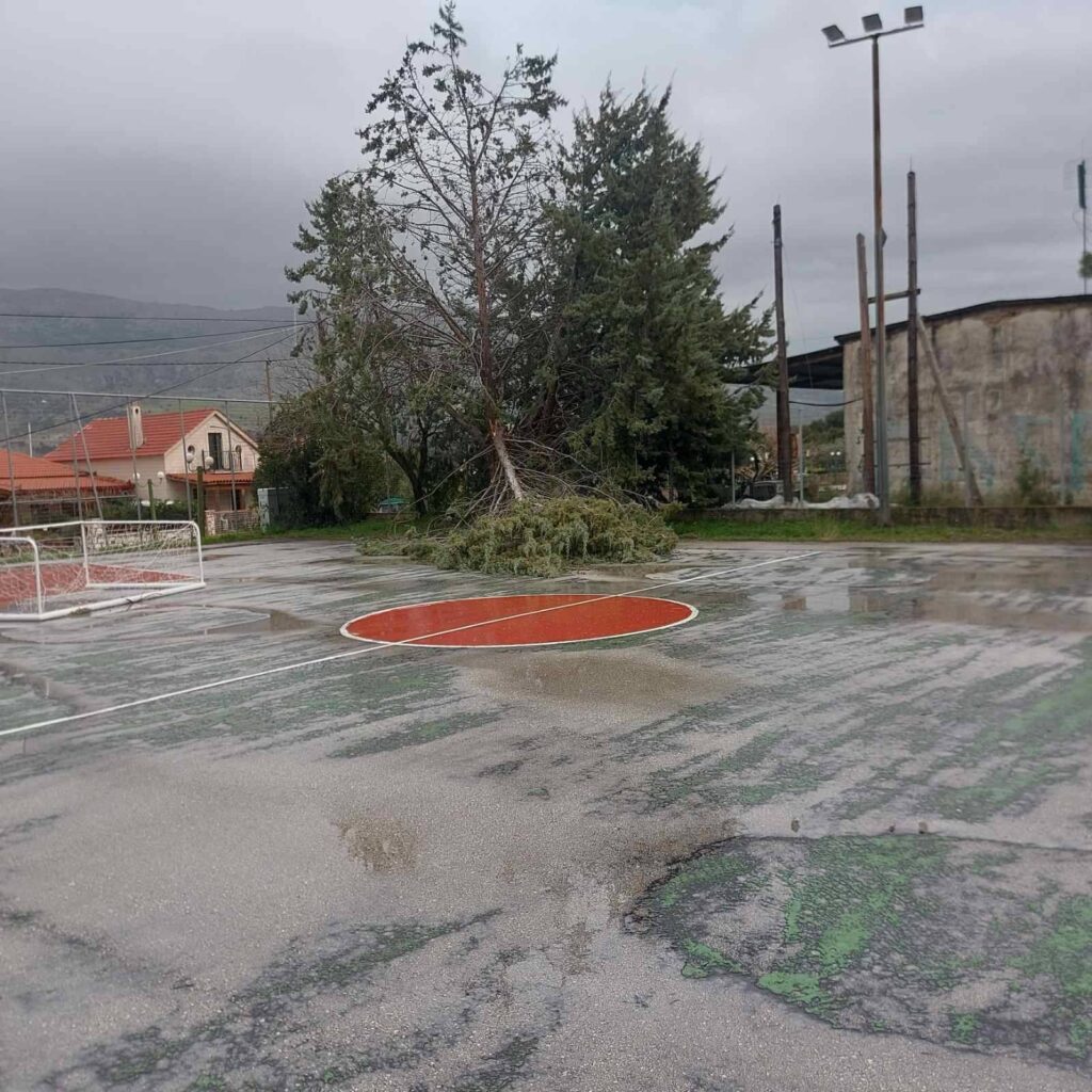 616785647 3883338111969979 5656119694728510442 n 1024x1024