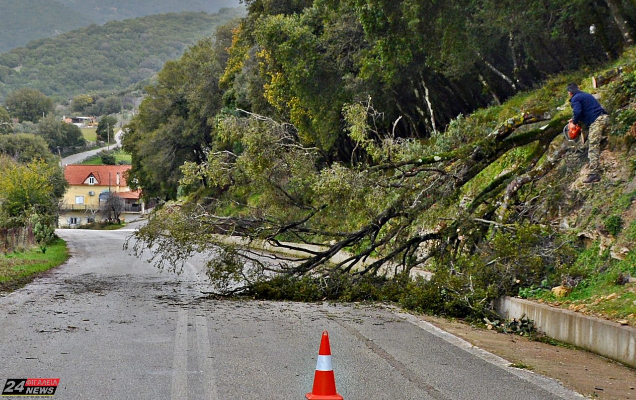 616796889 1940840943979152 239623532111435551 n