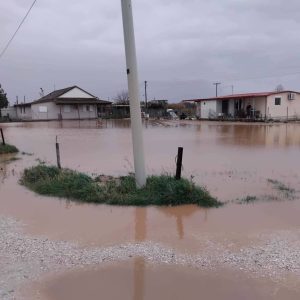 621732359 4160581077540178 7473314532681664724 n