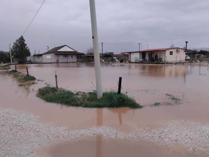 621732359 4160581077540178 7473314532681664724 n