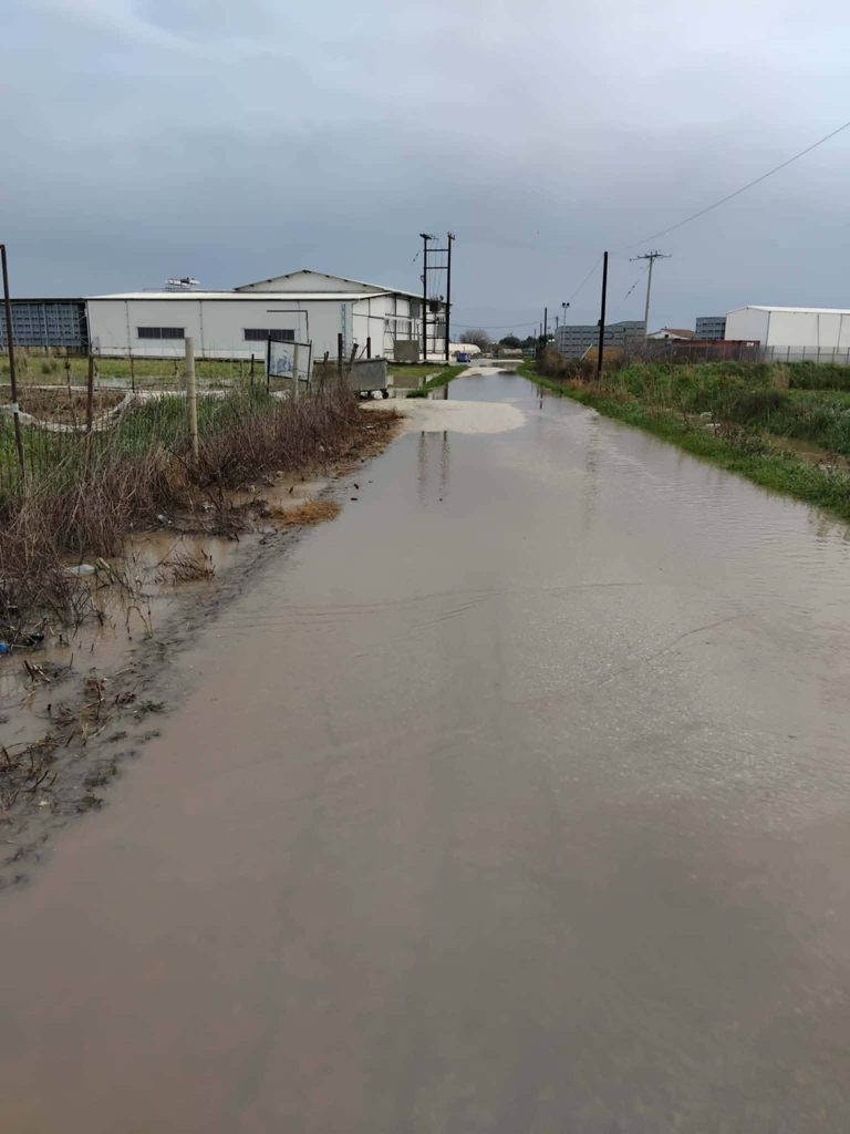 623389942 4160581154206837 4142752965405352724 n