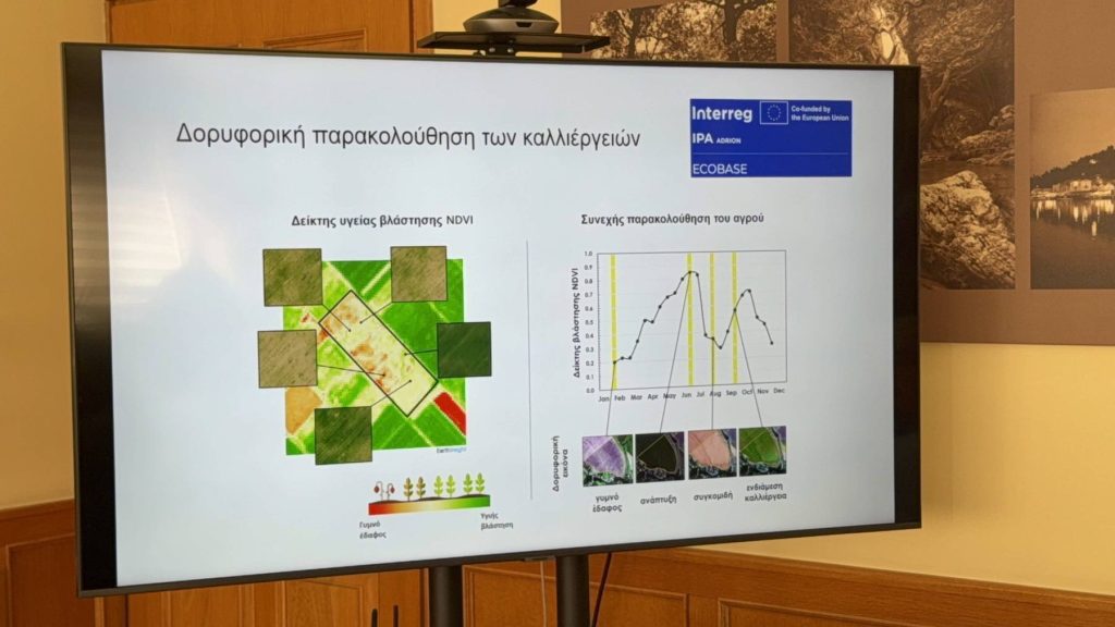 624545267 26024388677174140 1987561351537980522 n